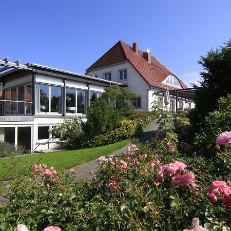 H.W.S. Hotel Der Wilde Schwan Sagard Exterior photo
